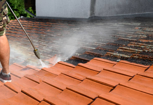 Best Commercial Building Pressure Washing  in Bohemia, NY